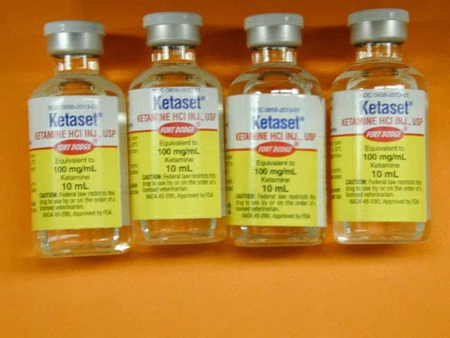 Order Liquid Ketaset Online, Liquid Ketamine Rotexmedica, Liquid Ketamine