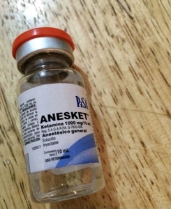 Order Anesket ketamina 1000mg/10ml