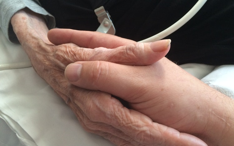 natrium pentobarbital bestellen