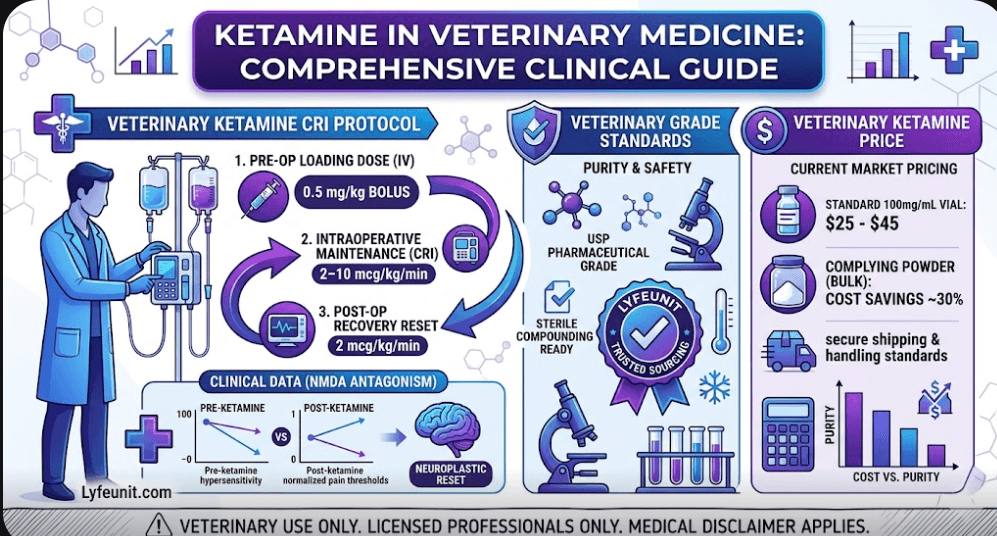 An illustrative infographic guide to Ketamine in Veterinary Medicine. It details the Veterinary ketamine CRI protocol, modern dosage charts, and comparative Veterinary ketamine price metrics in purple and blue.